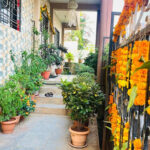 Lifeline Rehab, Pune, Maharashtra - 411028
