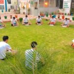 Serene therapy garden outside patient rooms for healing and reflection