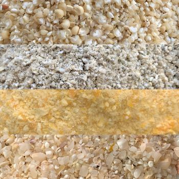An image of different types of millets for nutritional support