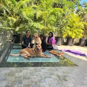 Improving mental health through animal companionship in recovery